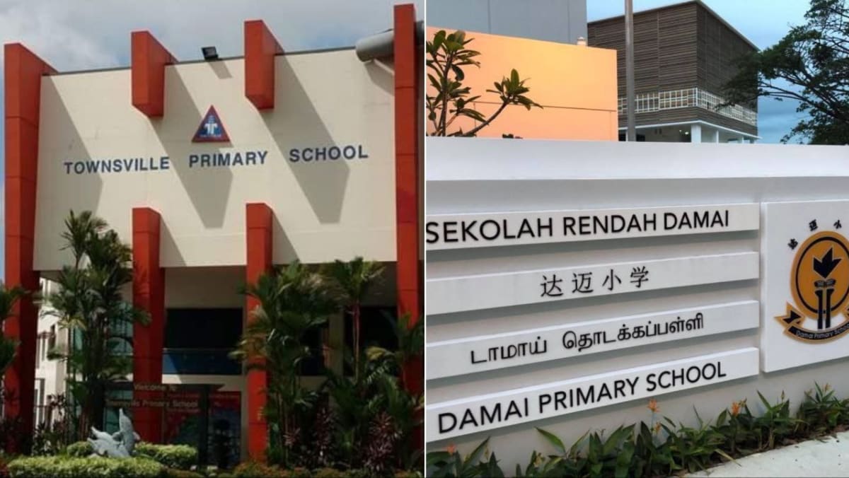 2029 Relocation For Damai Primary: Addressing Townsville's School Capacity Needs 2029 Relocation For Damai Primary: Addressing Townsville's School Capacity Needs