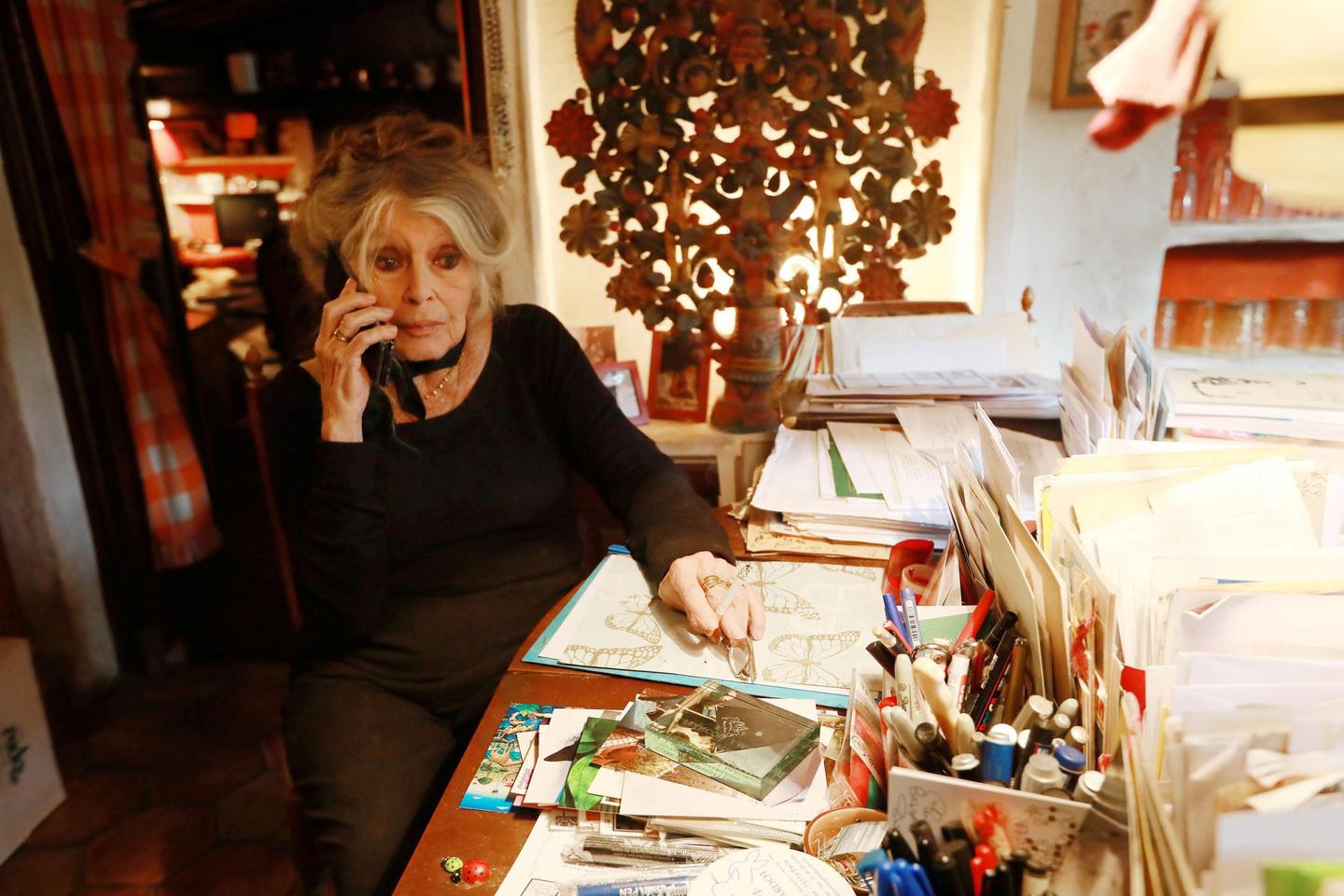 Brigitte Bardot: Onze Ans De Silence Brisés, Un Appel À Abolir La Chasse À Courre Brigitte Bardot: Onze Ans De Silence Brisés, Un Appel À Abolir La Chasse À Courre