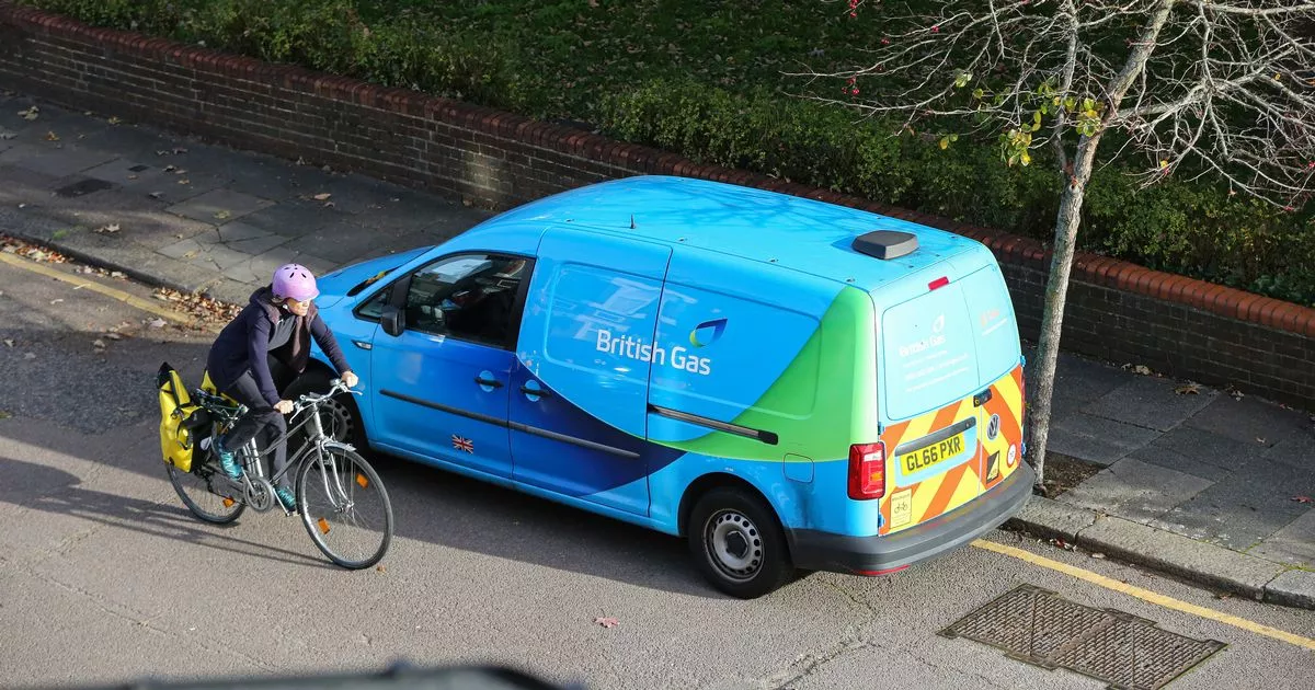 British Gas Half-Price Electricity: What You Need To Know British Gas Half-Price Electricity: What You Need To Know