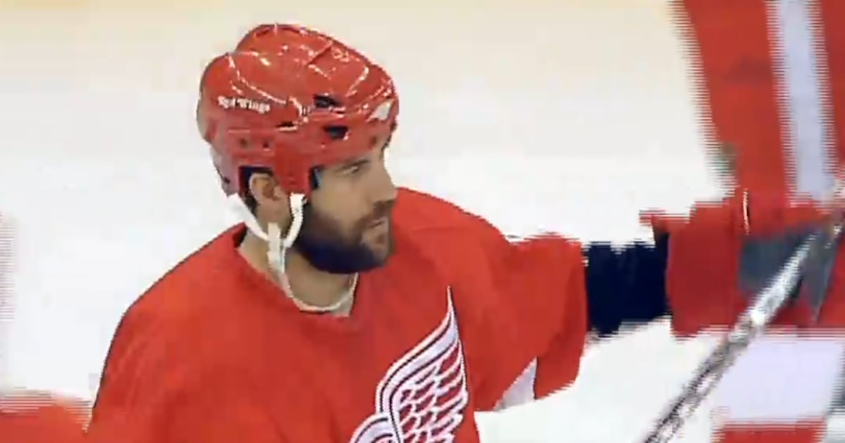 Cambridge Redhawks Hire Controversial Ex-NHL Player As Head Coach Cambridge Redhawks Hire Controversial Ex-NHL Player As Head Coach