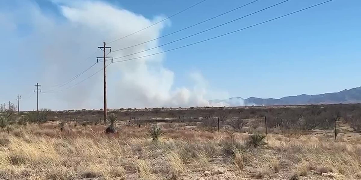 Cochise County Stronghold Fire: 3,000 Acres Burned, Investigation Underway Cochise County Stronghold Fire: 3,000 Acres Burned, Investigation Underway