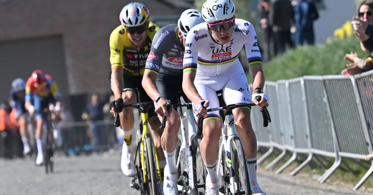Cycling Greats: Hinault Likens Pogacar To Merckx's Legendary Status Cycling Greats: Hinault Likens Pogacar To Merckx's Legendary Status