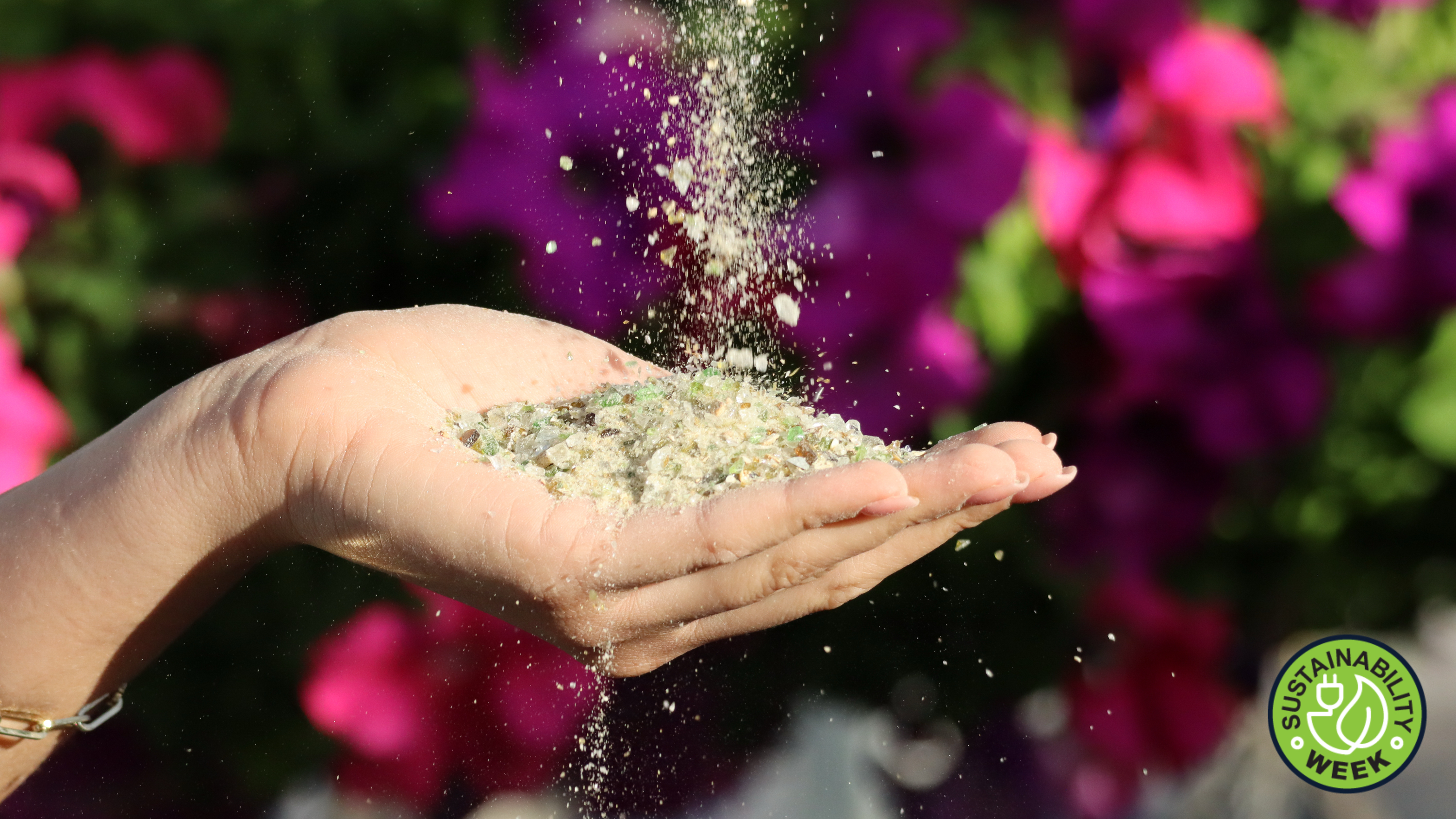 Disney's Sustainable Solution: Transforming Glass Waste Into Park Infrastructure
