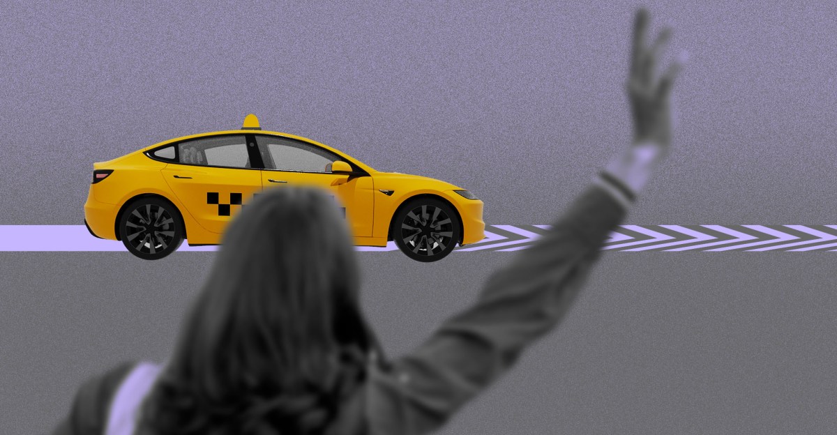 Elon Musk's RoboTaxi Vision: Delays And Doubts Mount Elon Musk's RoboTaxi Vision: Delays And Doubts Mount