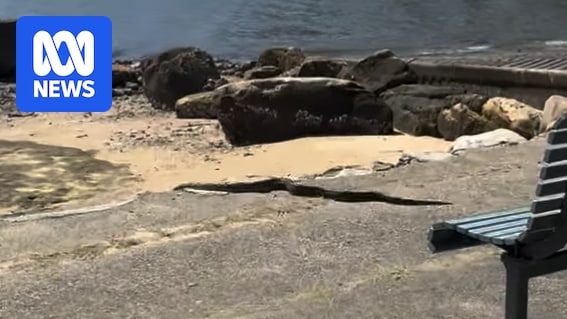 Emergency Response: Boa Constrictor At Large In Sydney's South Emergency Response: Boa Constrictor At Large In Sydney's South
