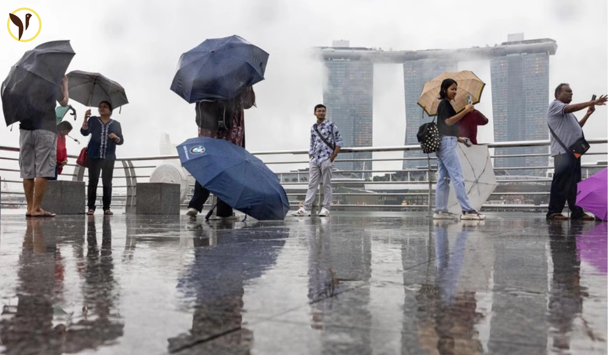 Extreme Heat And Downpours: Singapore's May Weather Outlook Extreme Heat And Downpours: Singapore's May Weather Outlook