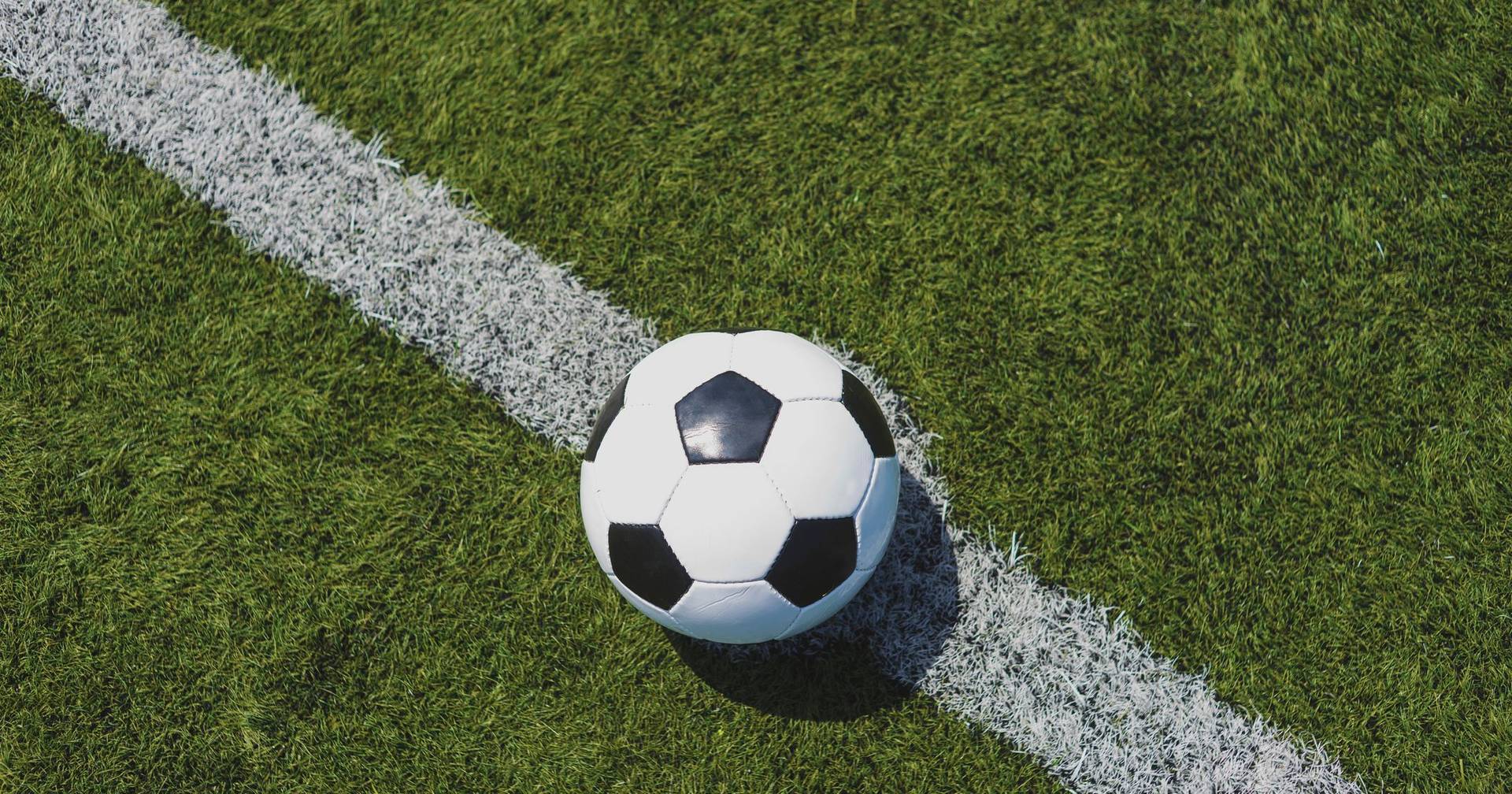 FC Porto: Vitória Obrigatória Para Manter Sonho Do Título Vivo FC Porto: Vitória Obrigatória Para Manter Sonho Do Título Vivo