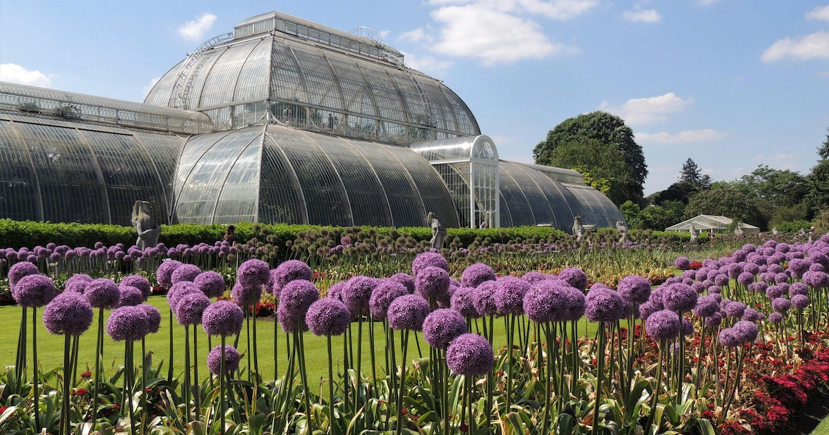 First-Ever Titan Arum Bloom In London: Kew Gardens Sees Long Queues First-Ever Titan Arum Bloom In London: Kew Gardens Sees Long Queues