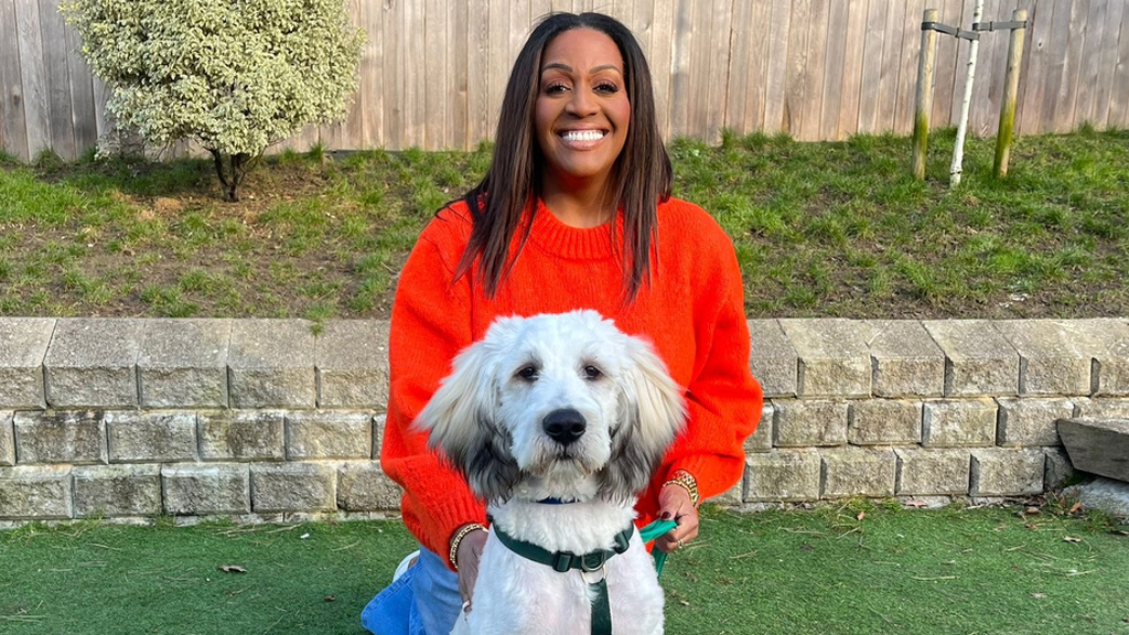 For The Love Of Dogs With Alison Hammond:  Rehoming Success Stories.