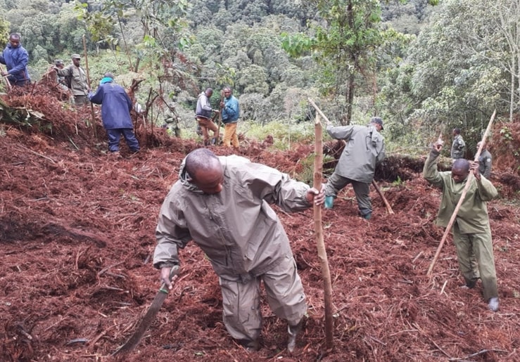 Forestry Research: Assessing Current Forest Cover And Opportunities For Growth Forestry Research: Assessing Current Forest Cover And Opportunities For Growth