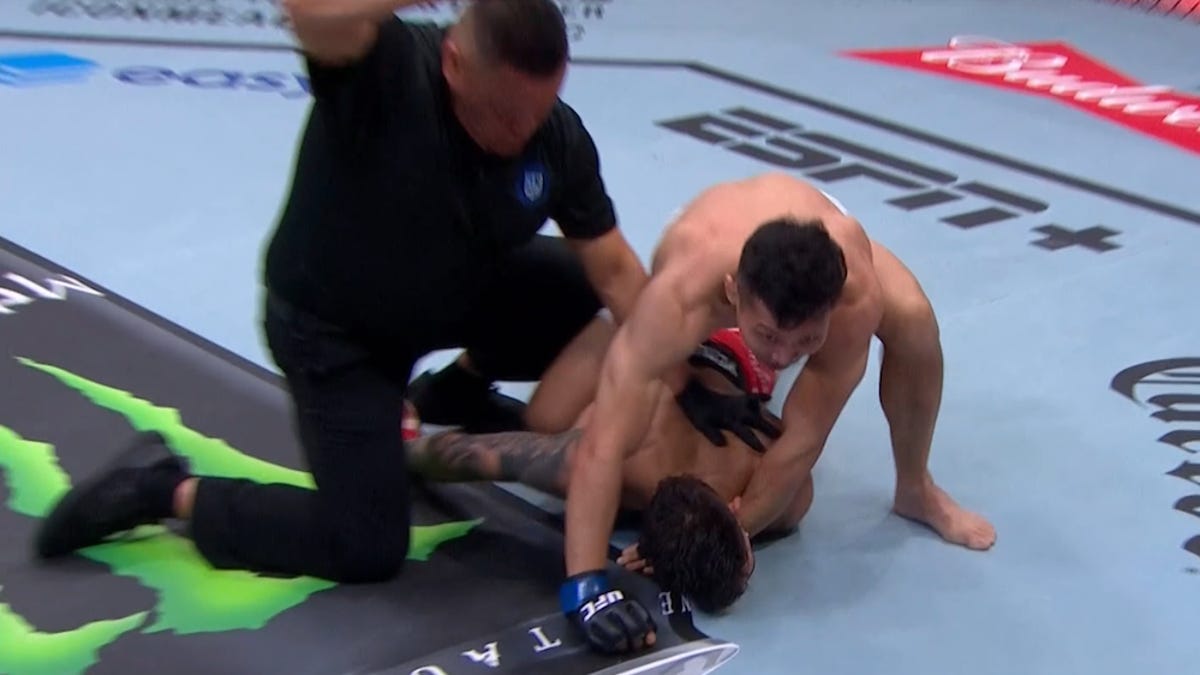 Gaston Bolanos Choked Out By Quang Le In Thrilling UFC On ESPN 67 Bout Gaston Bolanos Choked Out By Quang Le In Thrilling UFC On ESPN 67 Bout