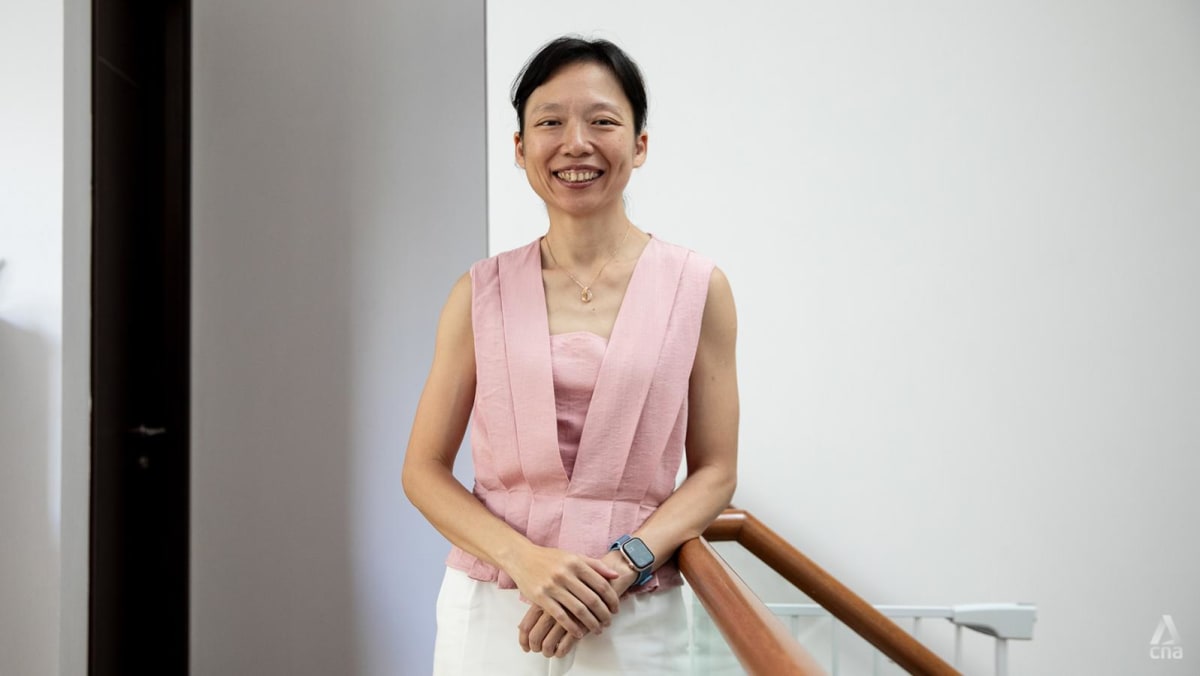 GE2025: From Reluctant Recruit To Committed Candidate: A PAP Member's Journey GE2025: From Reluctant Recruit To Committed Candidate: A PAP Member's Journey