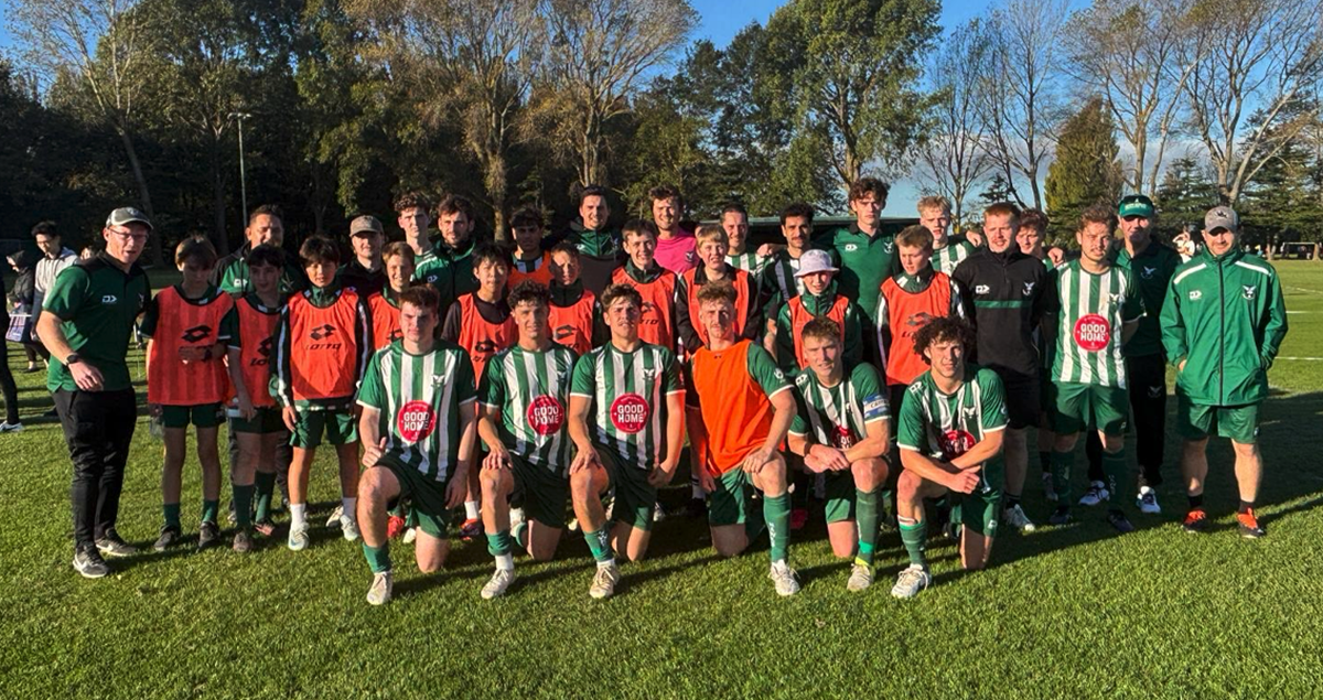 Halswell United's Path To The Southern League: A Close Call
