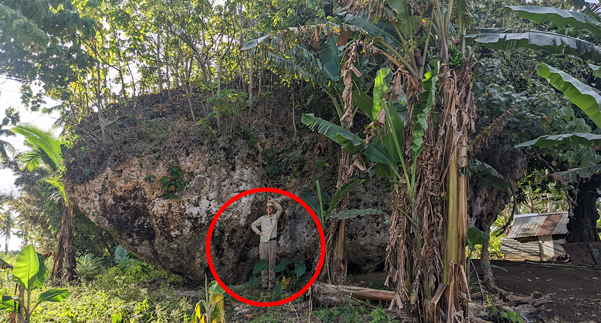 Island Research Yields Unexpected Results For Australian Farming Team Island Research Yields Unexpected Results For Australian Farming Team