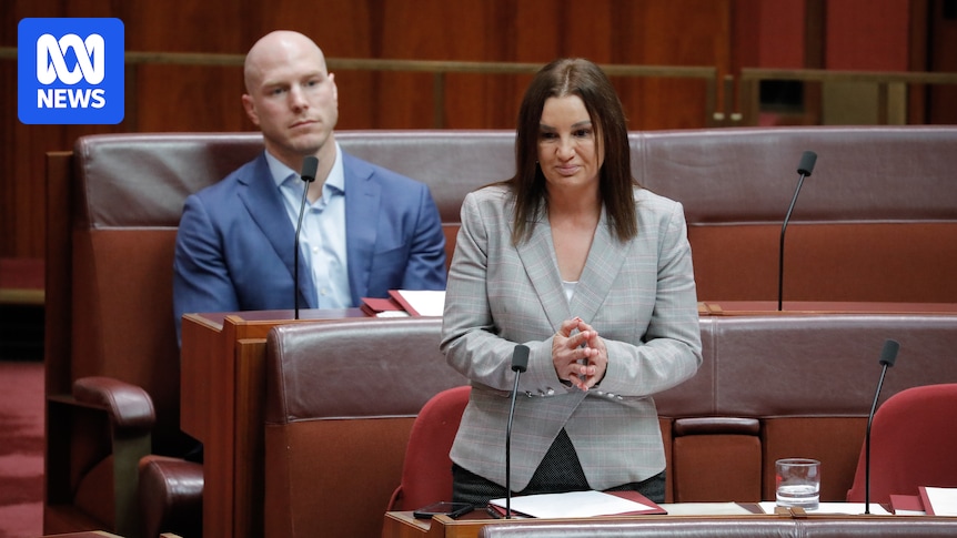 Labor's Path To Senate Dominance: Pocock And Lambie's Influence Wanes Labor's Path To Senate Dominance: Pocock And Lambie's Influence Wanes