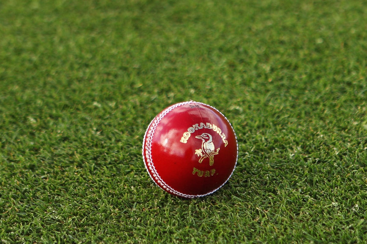 Live Cricket Streaming: Ireland Vs West Indies Match Updates Live Cricket Streaming: Ireland Vs West Indies Match Updates