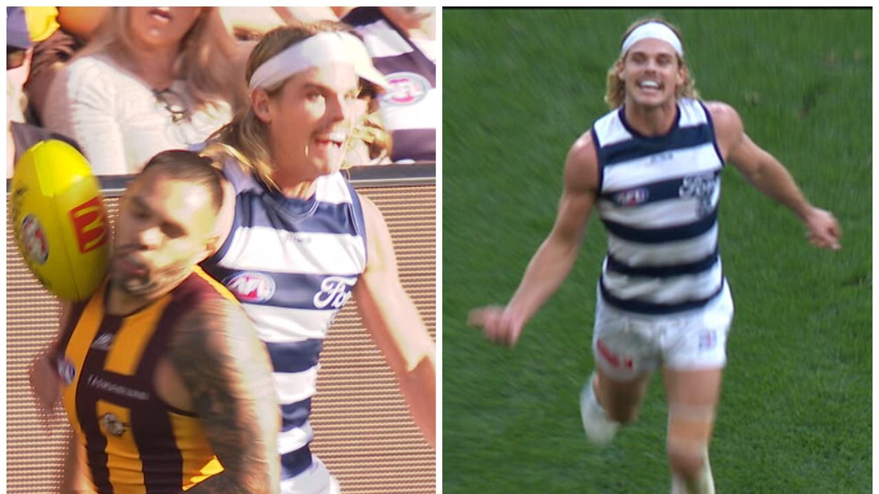 Manual Falcon Interrupted: Cat's Game-Time Antics Annoy Hawks Fans Manual Falcon Interrupted: Cat's Game-Time Antics Annoy Hawks Fans