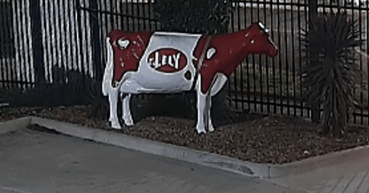 Melbourne Cownapping: $3500 Fibreglass Bovine Stolen Melbourne Cownapping: $3500 Fibreglass Bovine Stolen
