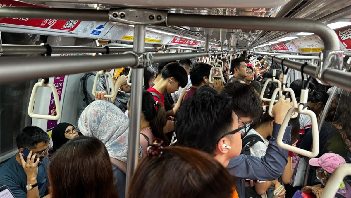 MRT Rush Hour Delays: Circle Line Train Malfunction Causes Commutation Chaos MRT Rush Hour Delays: Circle Line Train Malfunction Causes Commutation Chaos