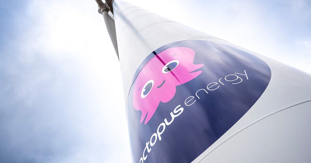 Octopus Energy's New Energy Plan: Potential Savings Of Up To £200 Octopus Energy's New Energy Plan: Potential Savings Of Up To £200