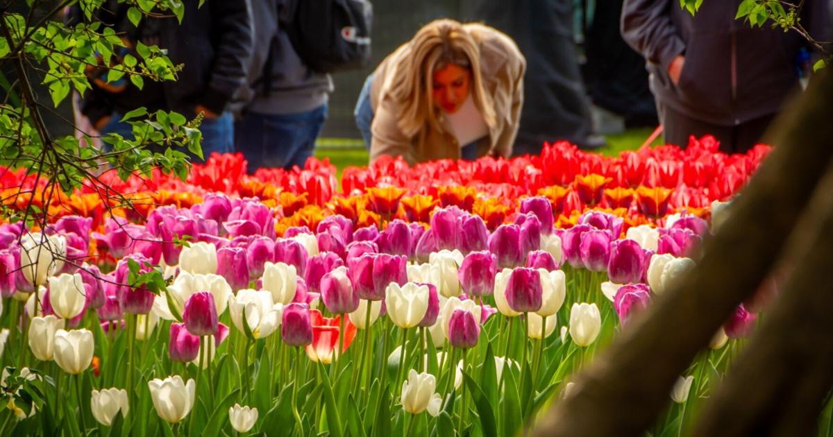 Ontario's Best Victoria Day Weekend Getaways: Fireworks, Food & Fun Ontario's Best Victoria Day Weekend Getaways: Fireworks, Food & Fun