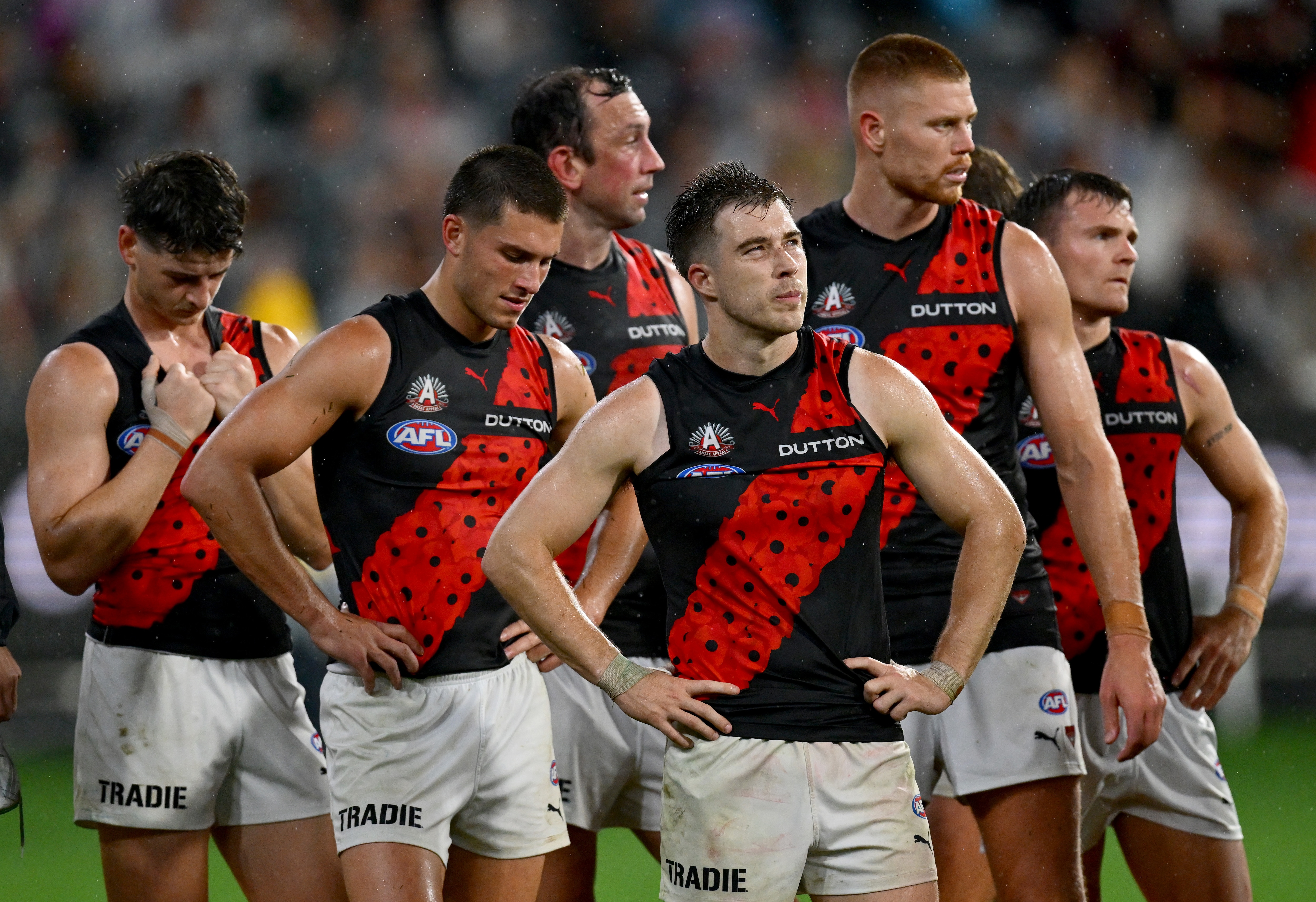 Pies Gain Control After Critical Communication Breakdown Affecting Scott Pies Gain Control After Critical Communication Breakdown Affecting Scott
