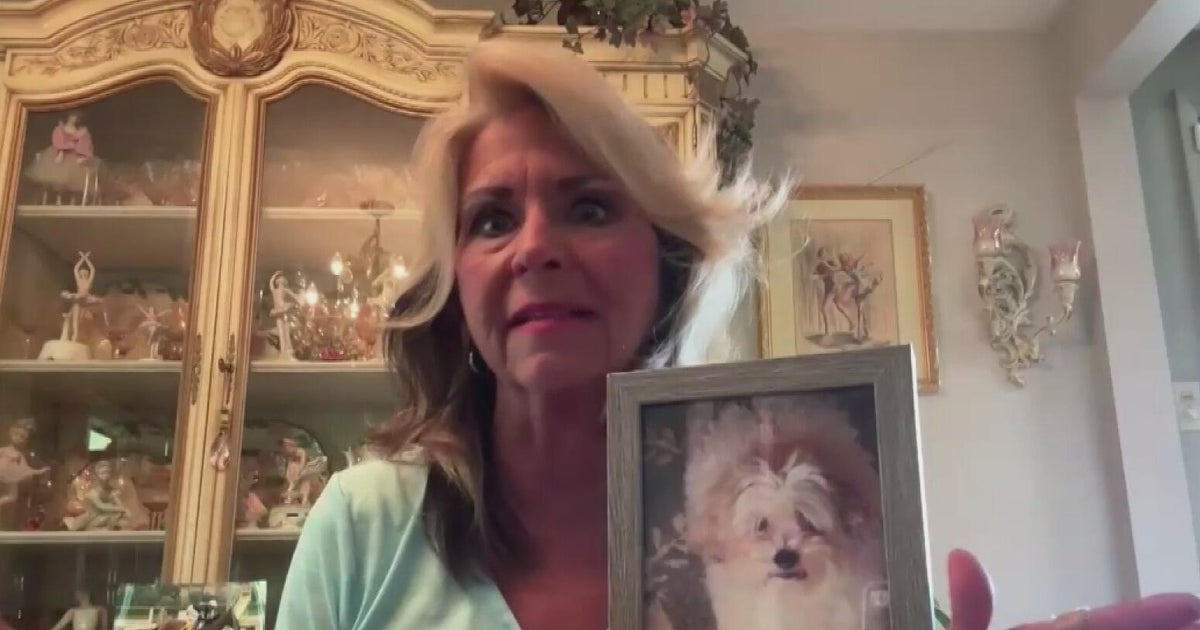Pittsburgh Area Pet Cremains: Answers Sought After Funeral Home Investigation Pittsburgh Area Pet Cremains: Answers Sought After Funeral Home Investigation
