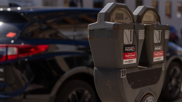 Public Input Urged Before Thunder Bay's Free Parking Council Vote Public Input Urged Before Thunder Bay's Free Parking Council Vote