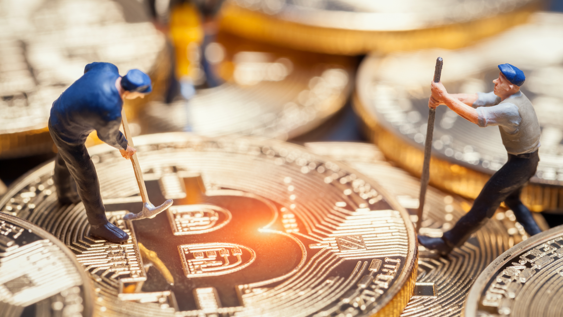 RICO Crypto Fraud: Twelve More Arrests In Expanding Investigation RICO Crypto Fraud: Twelve More Arrests In Expanding Investigation