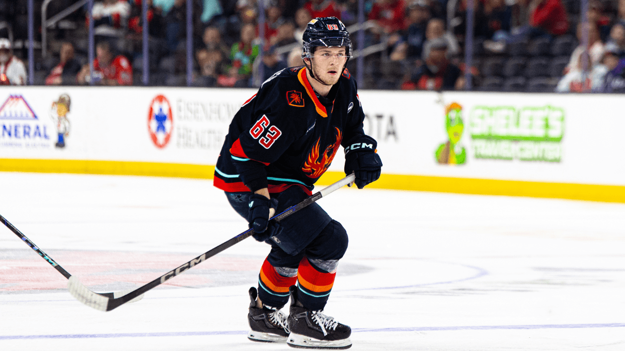 Road To Success: Firebirds' Prospects For The Season Road To Success: Firebirds' Prospects For The Season