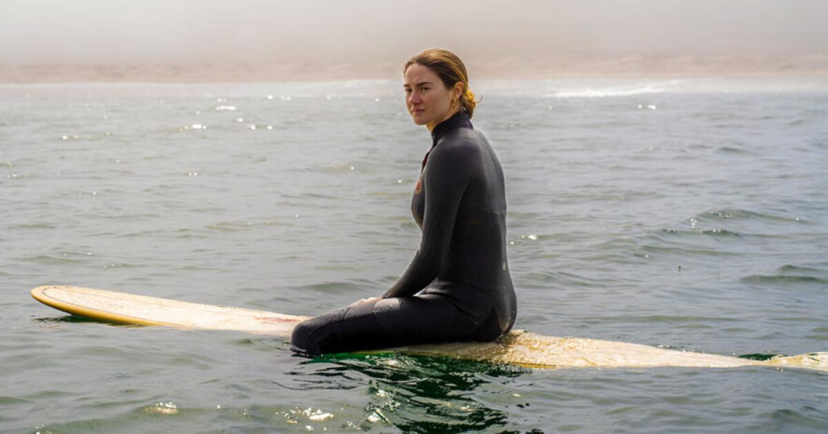 Shailene Woodley's Call To Action: Protecting The Planet Starts Locally Shailene Woodley's Call To Action: Protecting The Planet Starts Locally