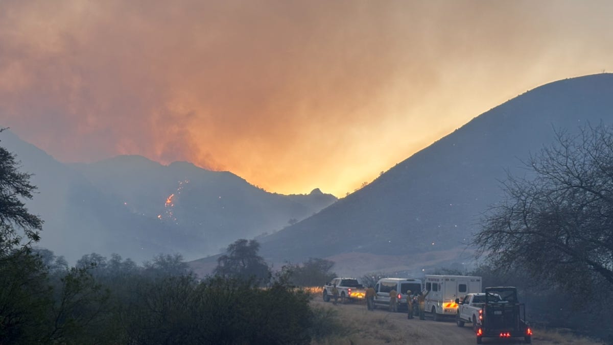 Southern Arizona Wildfire Prompts Emergency Evacuations: High Winds Accelerate Spread