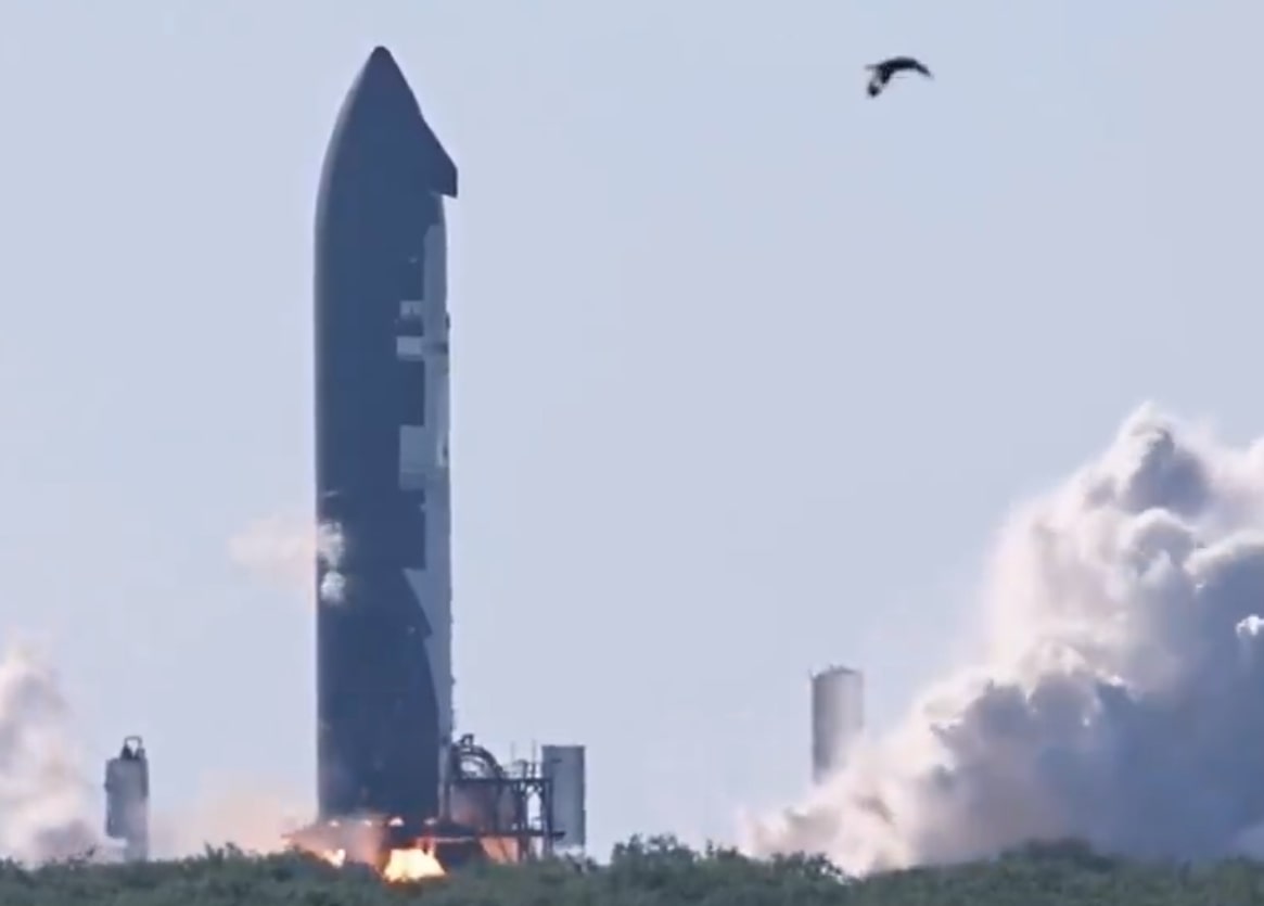 SpaceX Starship Launch Update: Liftoff In Nine Days? SpaceX Starship Launch Update: Liftoff In Nine Days?