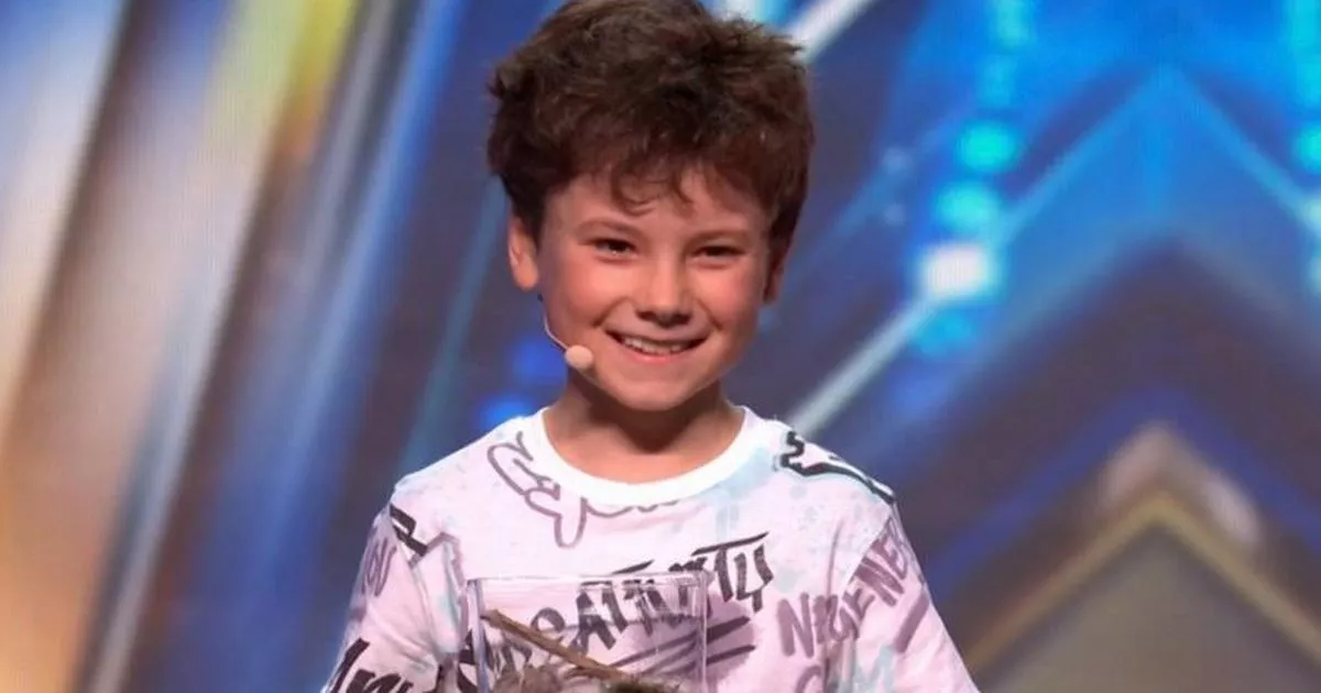 Teddy Magic: Postponement And New Performance Date For Britain's Got Talent Teddy Magic: Postponement And New Performance Date For Britain's Got Talent