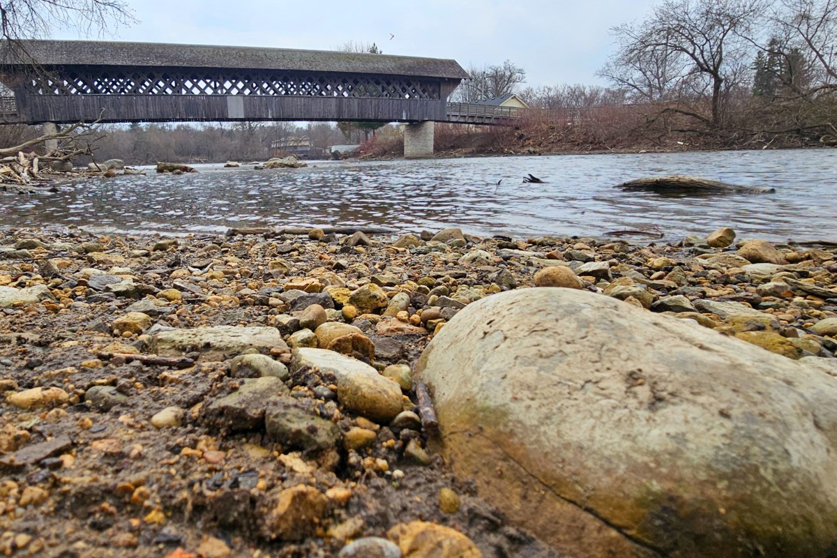 Today's Guelph Weather Report: What To Expect Today's Guelph Weather Report: What To Expect