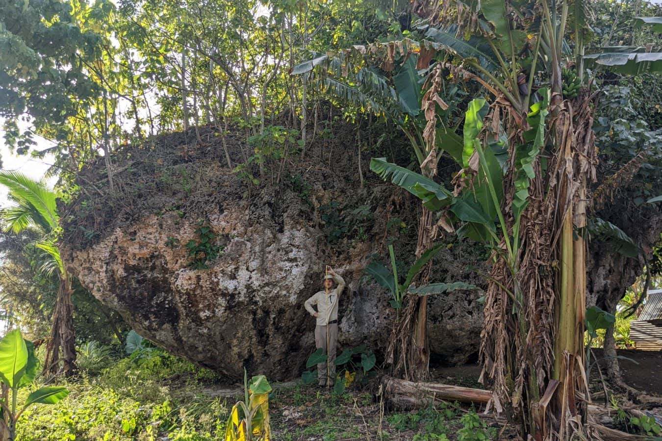 Tonga Clifftop Boulder: Evidence Of A 50-Meter Tsunami Tonga Clifftop Boulder: Evidence Of A 50-Meter Tsunami
