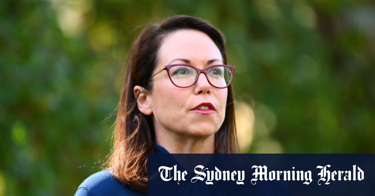 Treasurer's Controversial Fire Levy Hike: A Desperate Cash Grab? Treasurer's Controversial Fire Levy Hike: A Desperate Cash Grab?