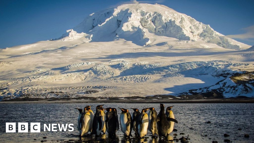Trump Tariffs: Unexpected Impact On Remote Islands Trump Tariffs: Unexpected Impact On Remote Islands