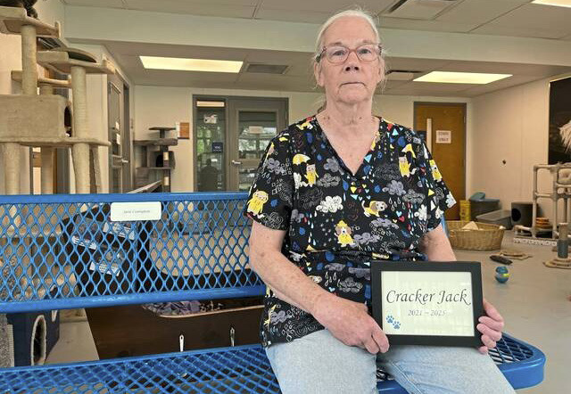 Veterinarian Condemns Funeral Director's Mishandling Of Pet Remains Veterinarian Condemns Funeral Director's Mishandling Of Pet Remains