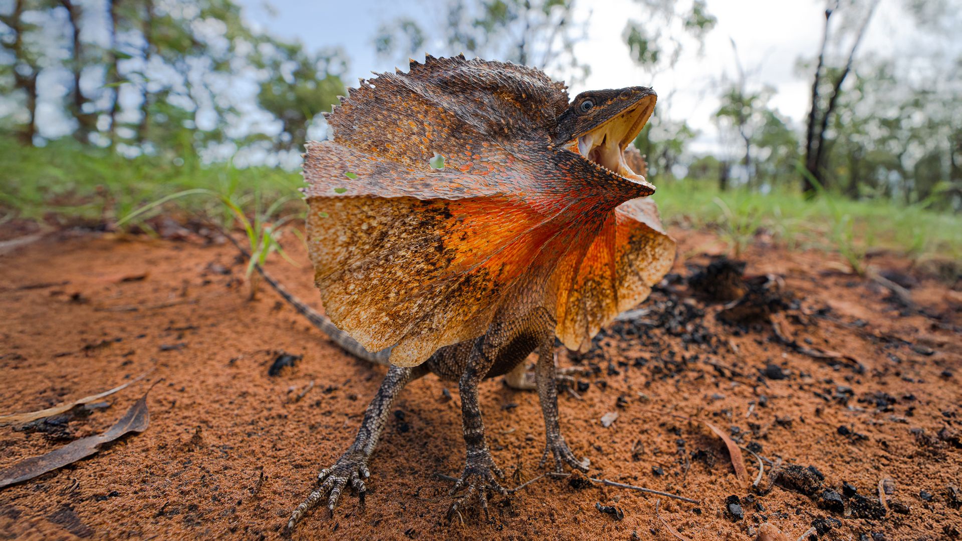 Watch The Kimberley: Series 1, Episode 1 Online Watch The Kimberley: Series 1, Episode 1 Online